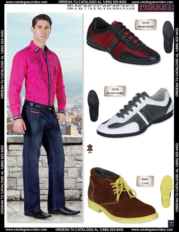 Ferreti2014 (Page 77)